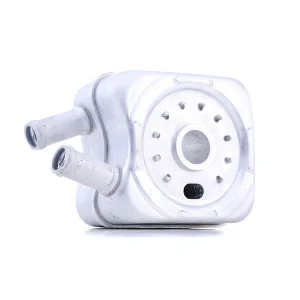 فروشگاه آنلاین رغز